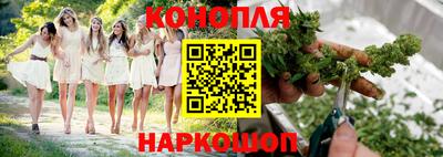 шишки Усть-Джегута