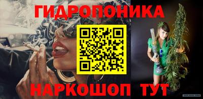 шишки Усть-Джегута